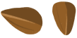 Grafik von Bucheckern.
Zwei braune, eher große, eierförmige Samen.