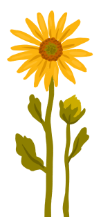 Grafik einer Sonnenblume. Eine Pflanze mit hohem und sehr kräftigen, grünen Stiel. Mit einer einzelnen, großen gelben, Blüte.